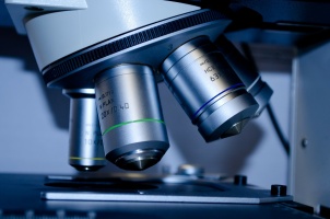 microscoscopio